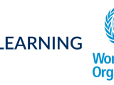 Rcgp And Who Presents How Primary Care Can Influence Governments And